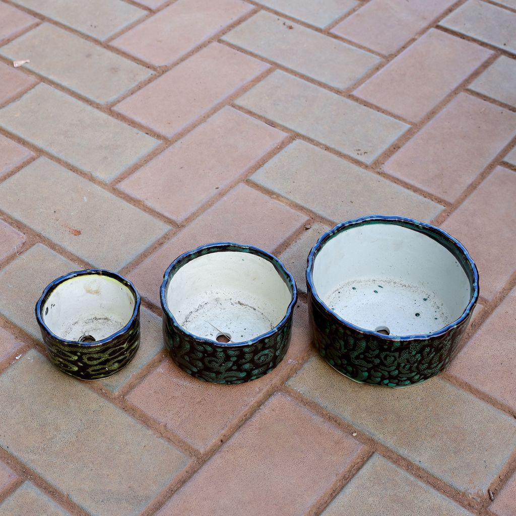 Buy Set of 3 - 4, 6 & 8 Inch Designer Round Shaped Ceramic Pot (any colour) Online | Urvann.com Set of 3 - 4, 6 & 8 Inch Designer Round Shaped Ceramic Pot (any colour)