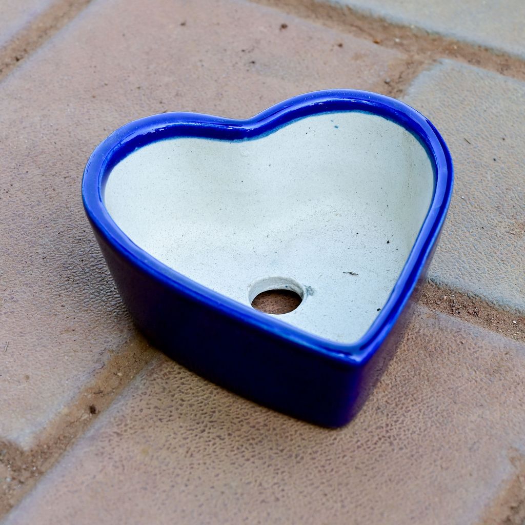 Buy 4 Inch Heart Shape Ceramic Pot ( Any Colour ) Online | Urvann.com 4 Inch Heart Shape Ceramic Pot ( Any Colour )