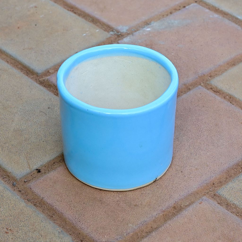 Buy 4 Inch Classy Cylindrical Ceramic Pot (any colour) Online | Urvann.com 4 Inch Classy Cylindrical Ceramic Pot (any colour),Pots:Ceramic Planters:Royal Ceramic Pots