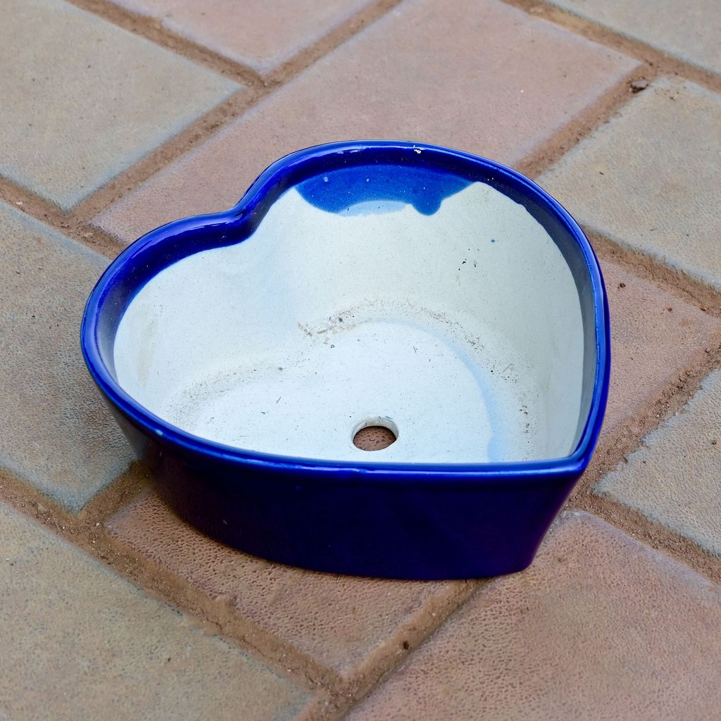 Buy 6 Inch Heart Shape Ceramic Pot ( Any Colour ) Online | Urvann.com 6 Inch Heart Shape Ceramic Pot ( Any Colour )