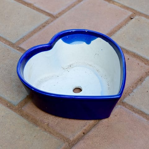 6 Inch Heart Shape Ceramic Pot ( Any Colour )