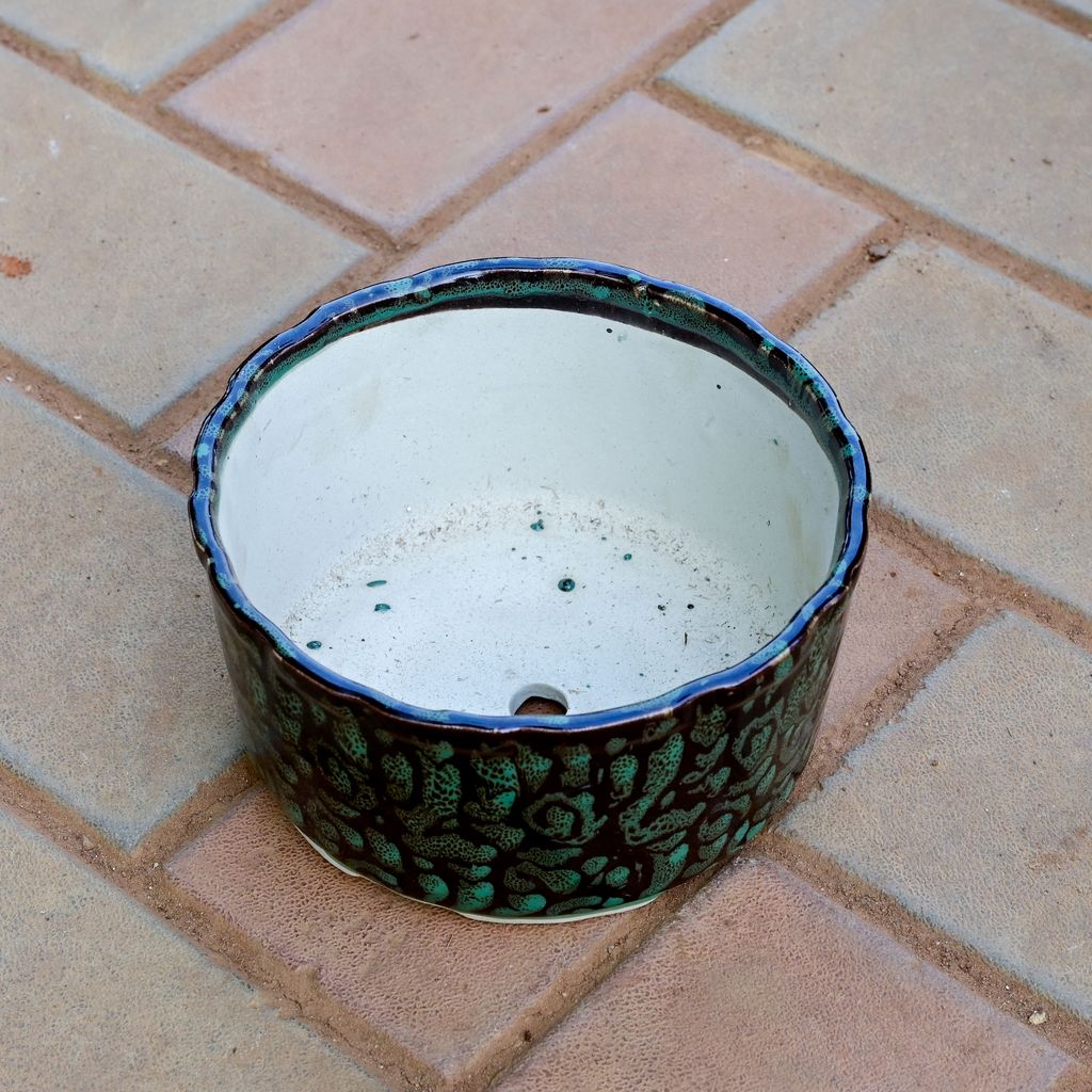 6 Inch Designer Round Shaped Ceramic Pot (any colour)