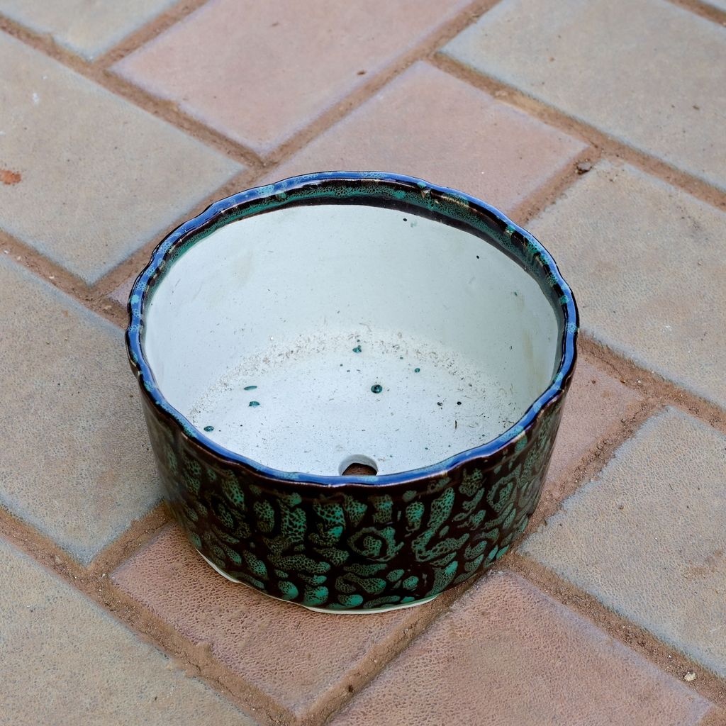 Buy 6 Inch Designer Round Shaped Ceramic Pot (any colour) Online | Urvann.com 6 Inch Designer Round Shaped Ceramic Pot (any colour)