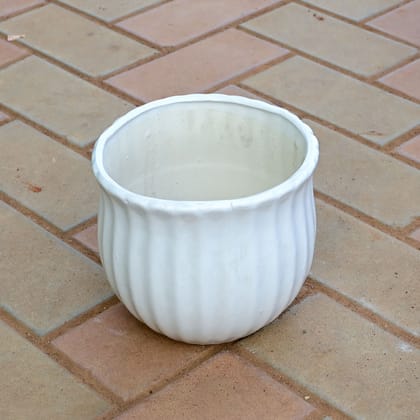 Buy 5 Inch White Handi Designer Ceramic Pot  Online | Urvann.com