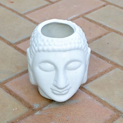 Buy 6 Inch White Buddha Designer ceramic Pot Online | Urvann.com