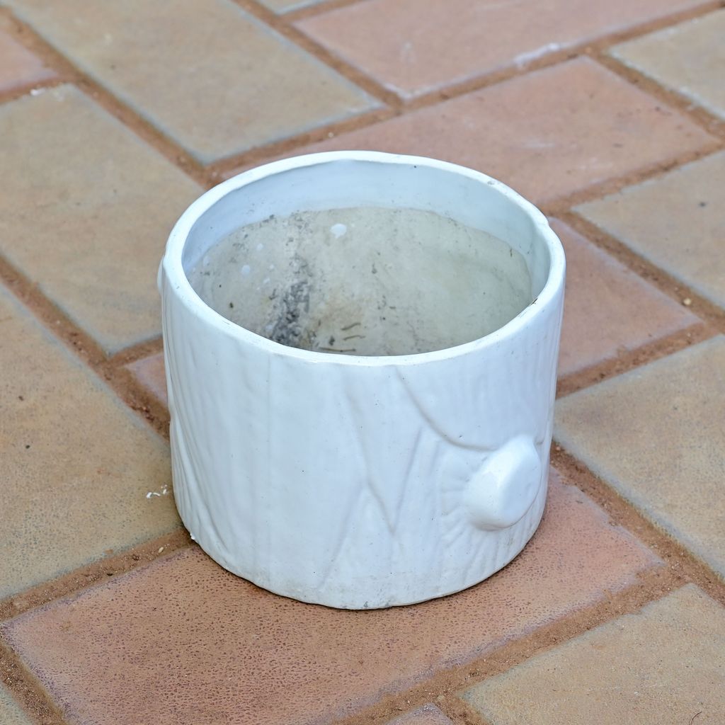 6 Inch Classy White Designer Ceramic Pot (any colour)