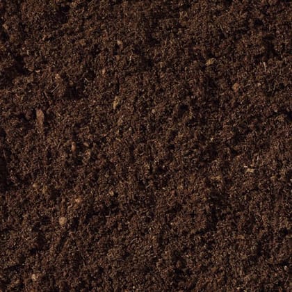 Buy Premium Indoor Mix | Ready to use Soil Mix for Indoor Plants with Required Fertilizers - 1 Kg Online | Urvann.com
