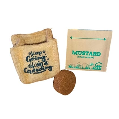 DIY Seed Starter Kit- Mustard Seeds