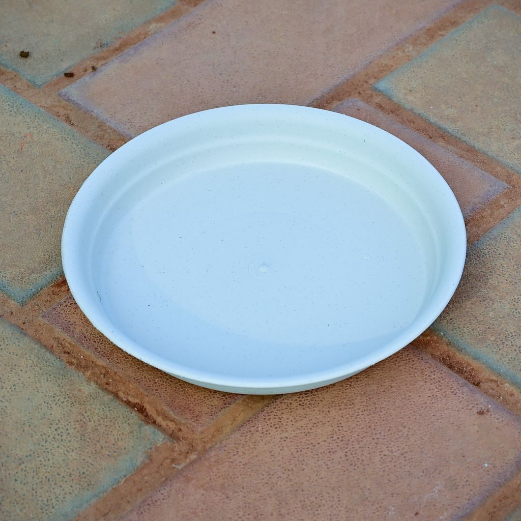 10 Inch White Plastic Tray / Plate - To keep under the Pots