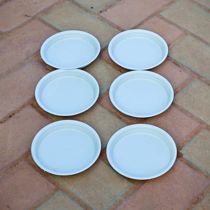 Buy 8 inch  Set of 6 White Plastic Tray Online | Urvann.com