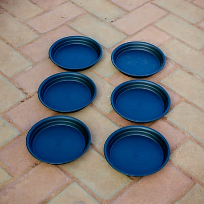 Buy 10 inch  Set of 6 Black Plastic Tray Online | Urvann.com