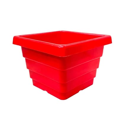 Buy 4 Inch Red Premium Orchid Square Plastic Pot Online | Urvann.com
