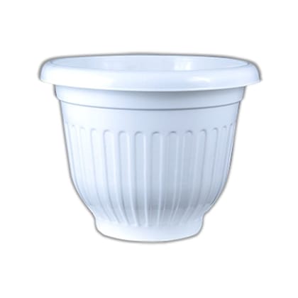 Buy 10 Inch White Premium Olive Plastic Pot Online | Urvann.com