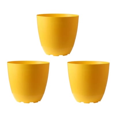 Set of 03 - 6 Inch Yellow Premium Orchid Round Plastic Pot