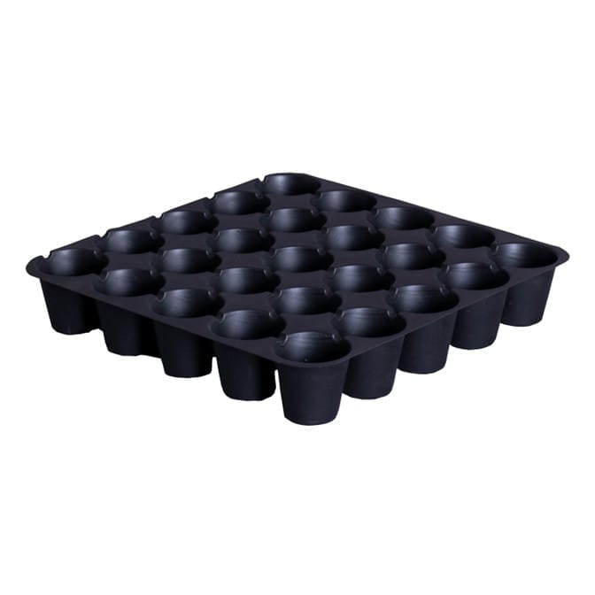 Buy Premium 0.8 mm Seedling Tray - 25 cells Online | Urvann.com Premium Seedling Tray - 25 Large cells