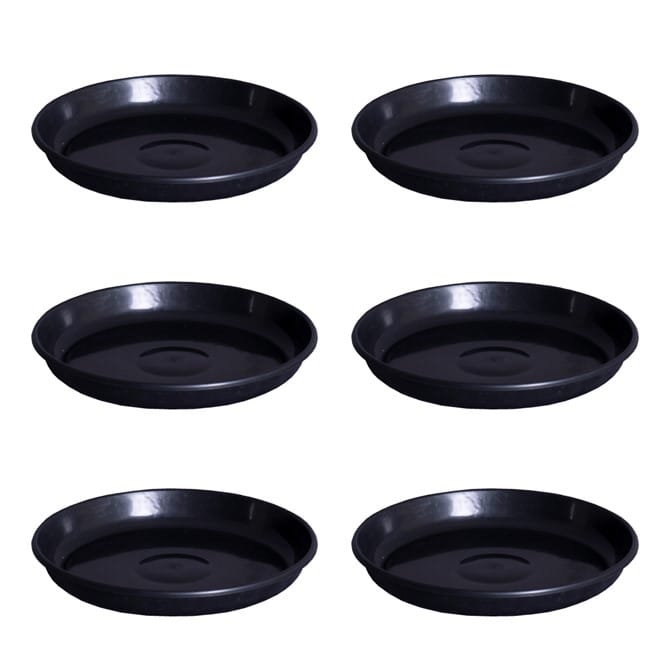 Buy Set of 6 - 6 Inch Black Premium Black Tray - To keep under the Pot Online | Urvann.com Set of 6 - 6 Inch Black Premium Black Tray - To keep under the Pot