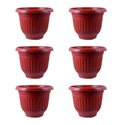 Buy Set of 06 - 8 Inch Terracotta Red Premium Olive Plastic Pot Online | Urvann.com