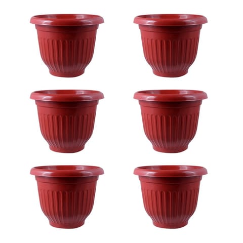Set of 06 - 8 Inch Terracotta Red Olive Plastic Pot