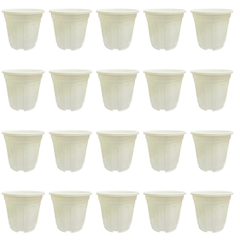 Set of 20 - 6 Inch White Super Nursery Pot