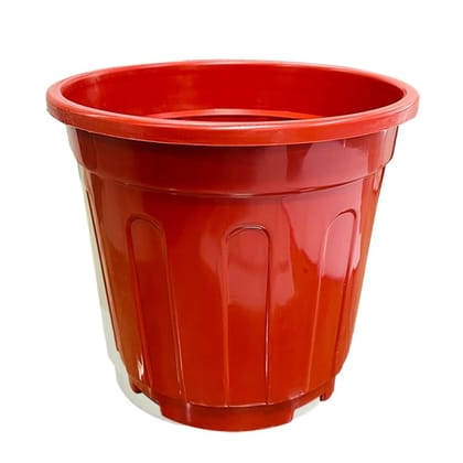 Buy 6 Inch Red Super Nursery Pot Online | Urvann.com