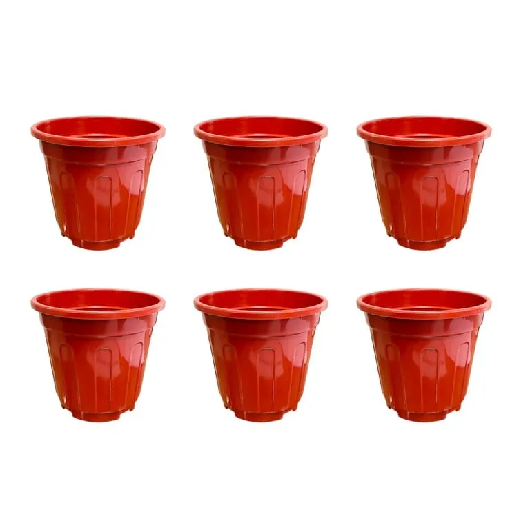 Set of 06 - 12 Inch Red Super Nursery Pot