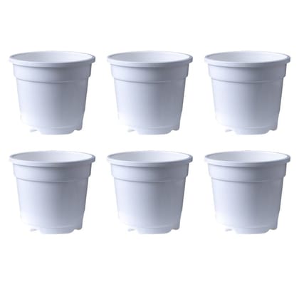 Buy Set of 06 - 8 Inch White Nursery Pot Online | Urvann.com