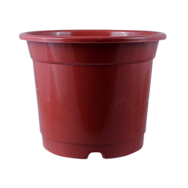 10 Inch Red Nursery Pot