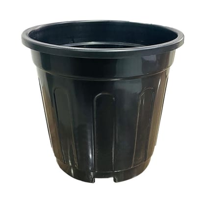 Buy 6 Inch Black Super Nursery Pot Online | Urvann.com