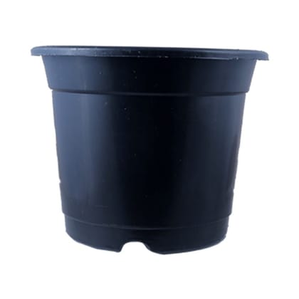 Buy 8 Inch Black Nursery Pot Online | Urvann.com