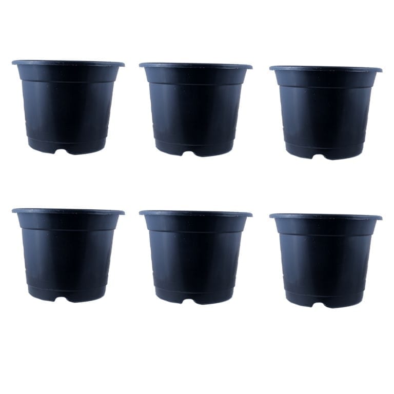 Set of 06 - 10 Inch Black Nursery Pot