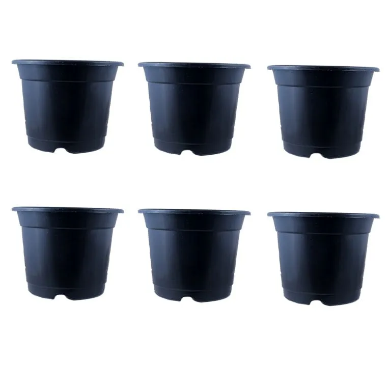 Set of 06 - 10 Inch Black Nursery Pot