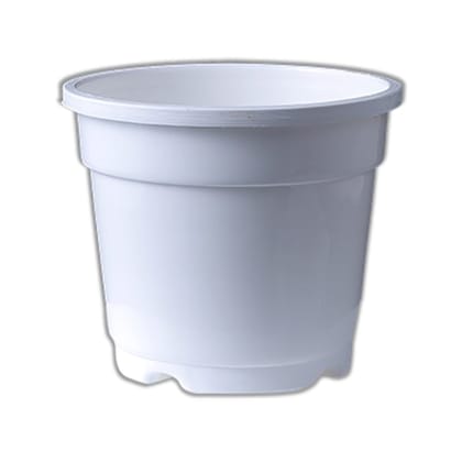 Buy 8 Inch White Nursery Pot Online | Urvann.com