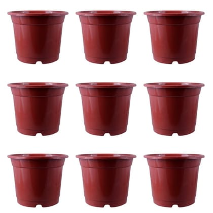 Buy Set of 09 - 4 Inch Red Nursery Pot Online | Urvann.com