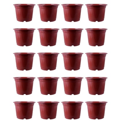 Buy Set of 20 - 8 Inch Red Nursery Pot Online | Urvann.com