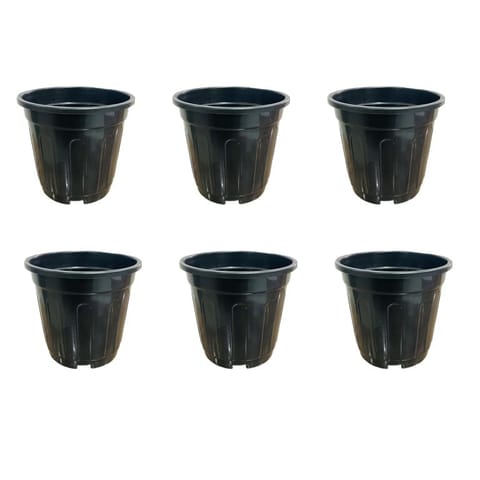 Set of 06 - 6 Inch Black Super Nursery Pot