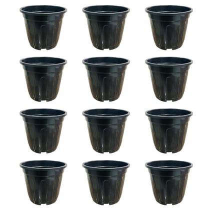 Buy Set of 12 - 6 Inch Black Super Nursery Pot Online | Urvann.com
