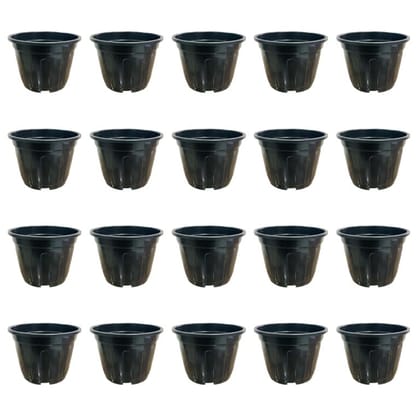 Buy Set of 20 - 6 Inch Black Super Nursery Pot Online | Urvann.com