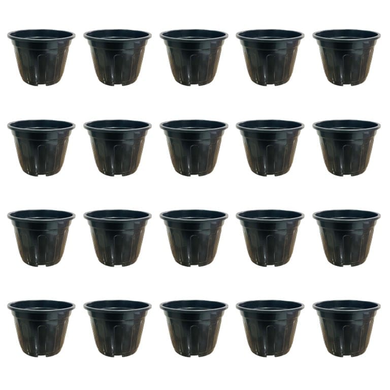 Set of 20 - 6 Inch Black Super Nursery Pot