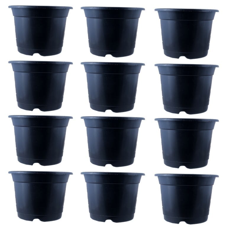 Set of 12 - 4 Inch Black Nursery Pot