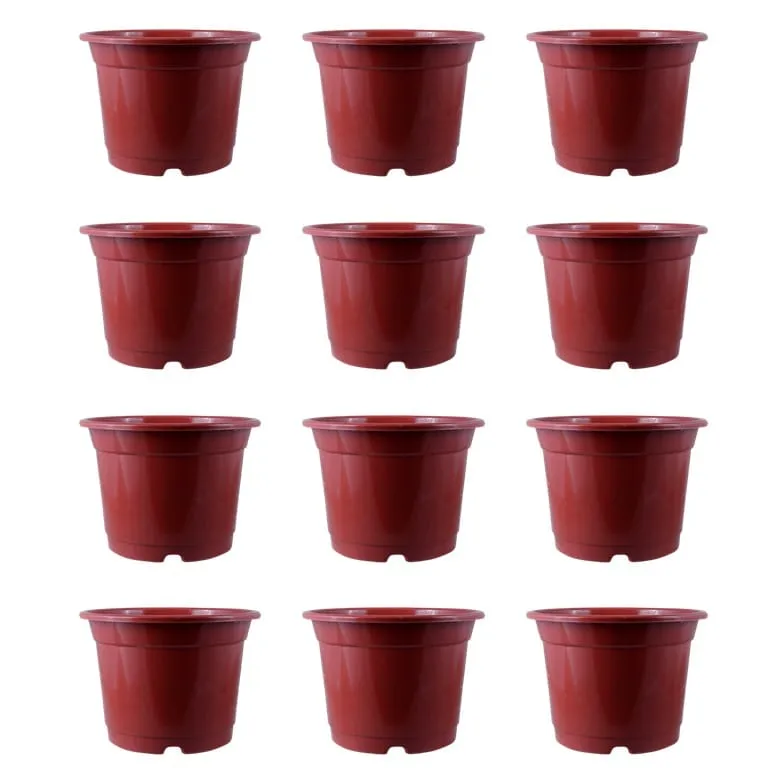 Set of 12 - 4 Inch Red Nursery Pot