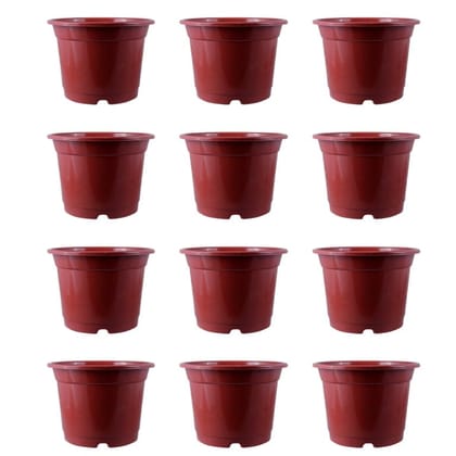 Buy Set of 12 - 10 Inch Red Nursery Pot Online | Urvann.com