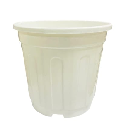 Buy 6 Inch White Super Nursery Pot Online | Urvann.com