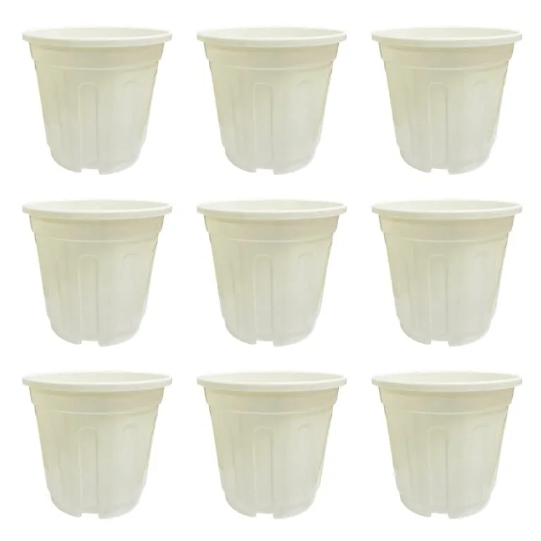 Set of 09 - 6 Inch White Super Nursery Pot