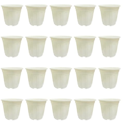 Set of 20 - 6 Inch White Super Nursery Pot