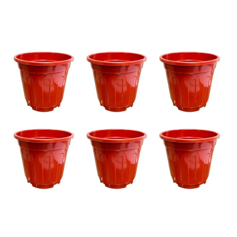 Set of 06 - 6 Inch Red Super Nursery Pots