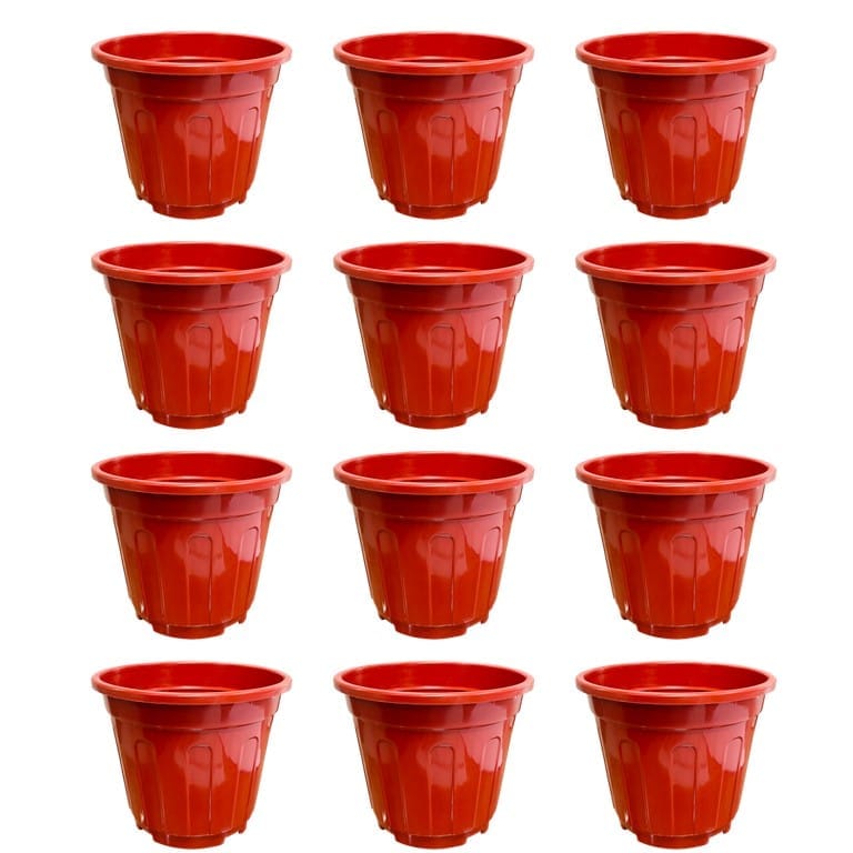 Set of 12 - 6 Inch Red Super Nursery Pot