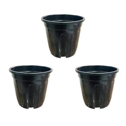 Buy Set of 03 - 6 Inch Black Super Nursery Pot Online | Urvann.com