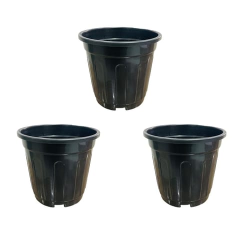 Set of 03 - 6 Inch Black Super Nursery Pots