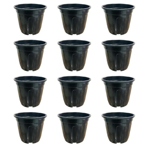 Set of 12 - 6 Inch Black Super Nursery Pots
