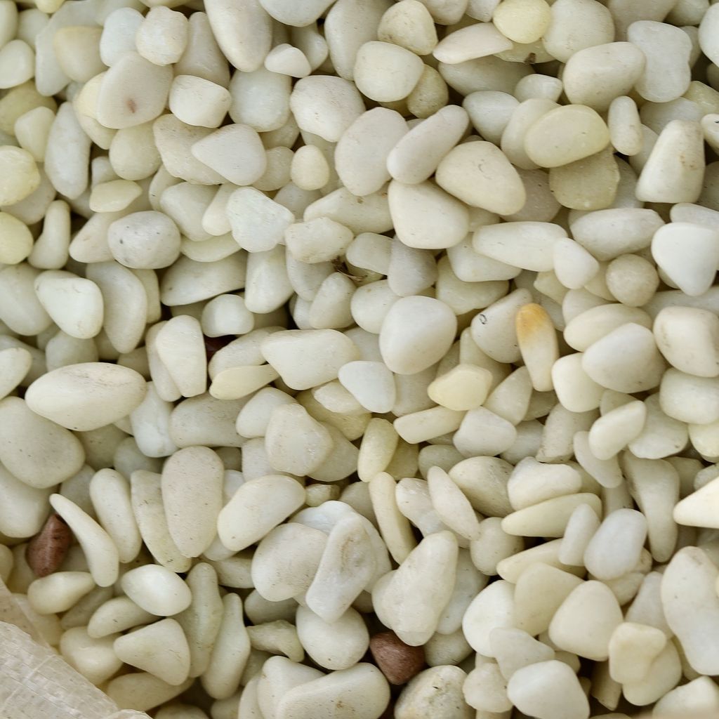 Decorative Small White Pebbles - 1 Kg